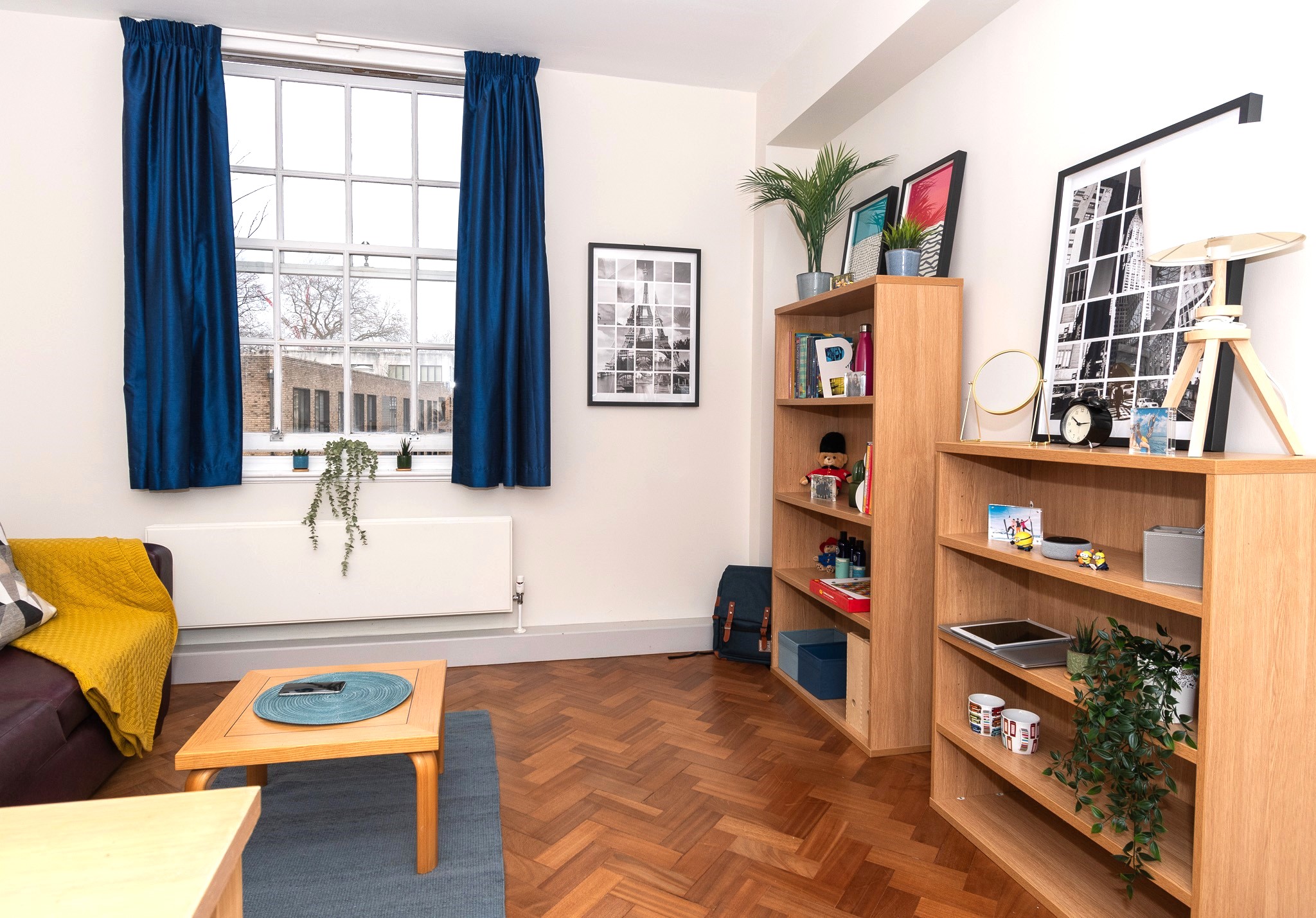 Living room sofa, book shelves and coffee table in one-bed flat at Goodenough College